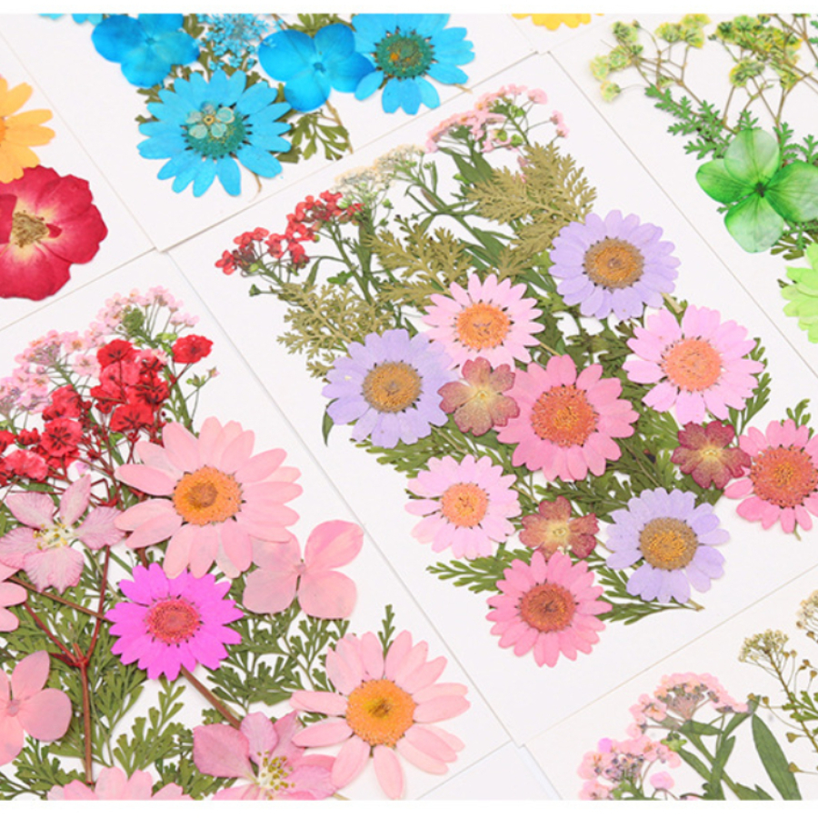 Dried Flower Bookmark - Un-dyed Natural Pressed Dried Flower Kit,