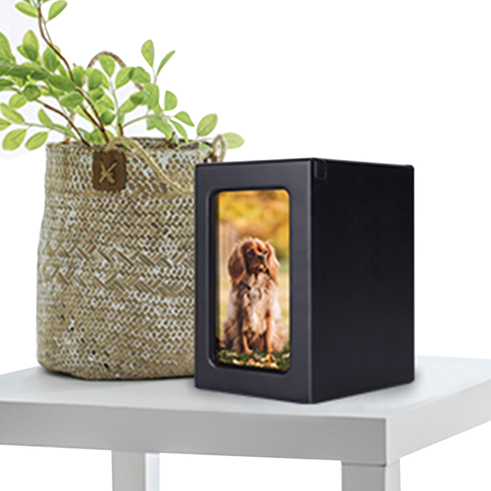 Wooden Pet Urns Wooden Cremati - Engraved Wood Frame avis et prix
