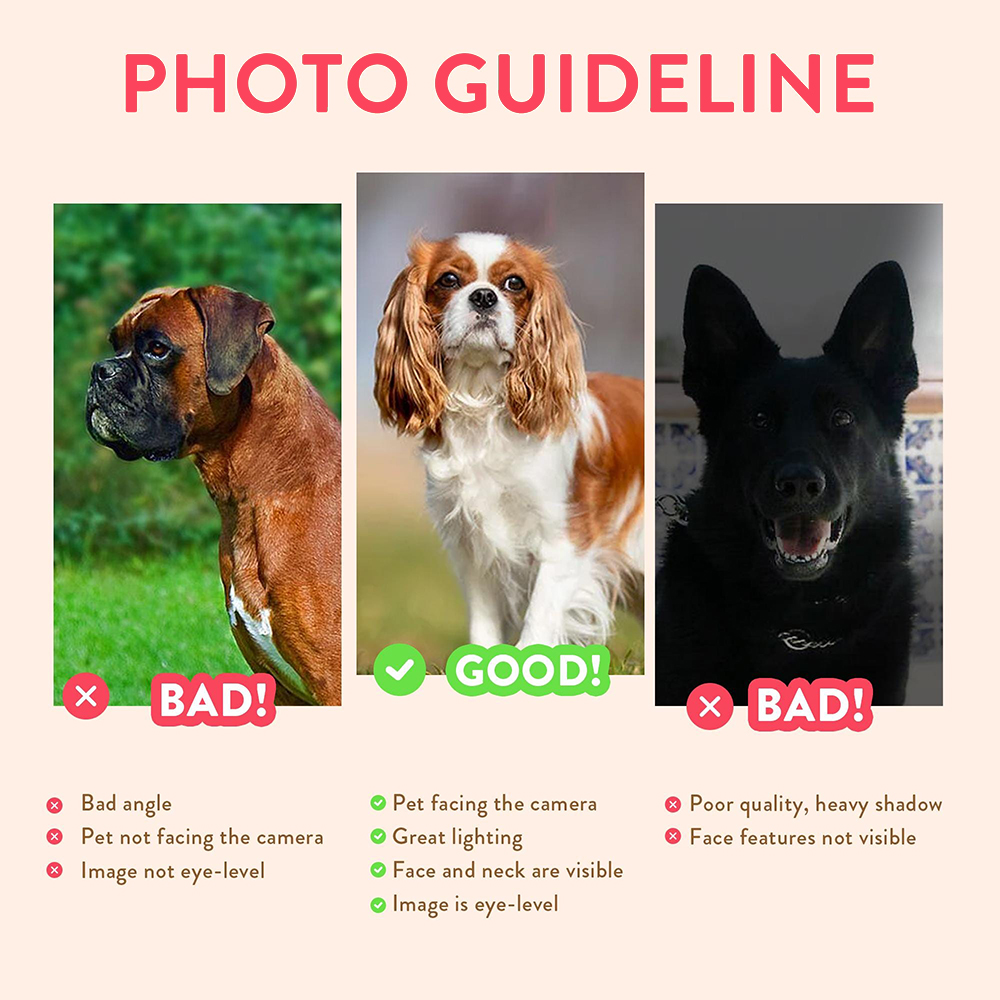 Personalized Pet Portraits Pho - Pet Portrait Custom avis et prix