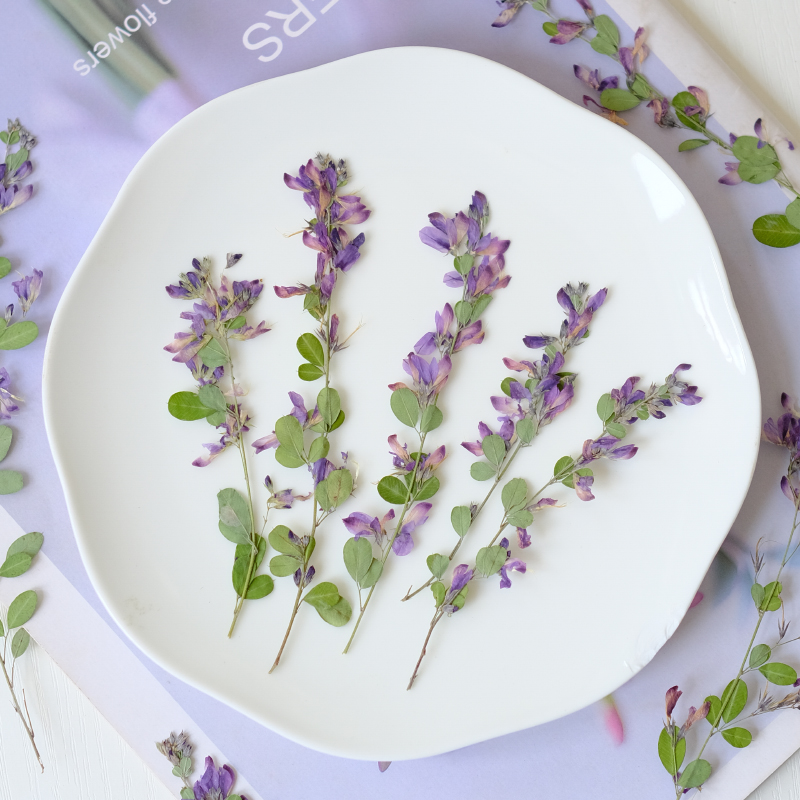6pcs,nature Lespedeza Formosa  - Dried Flower Bookmark avis et prix