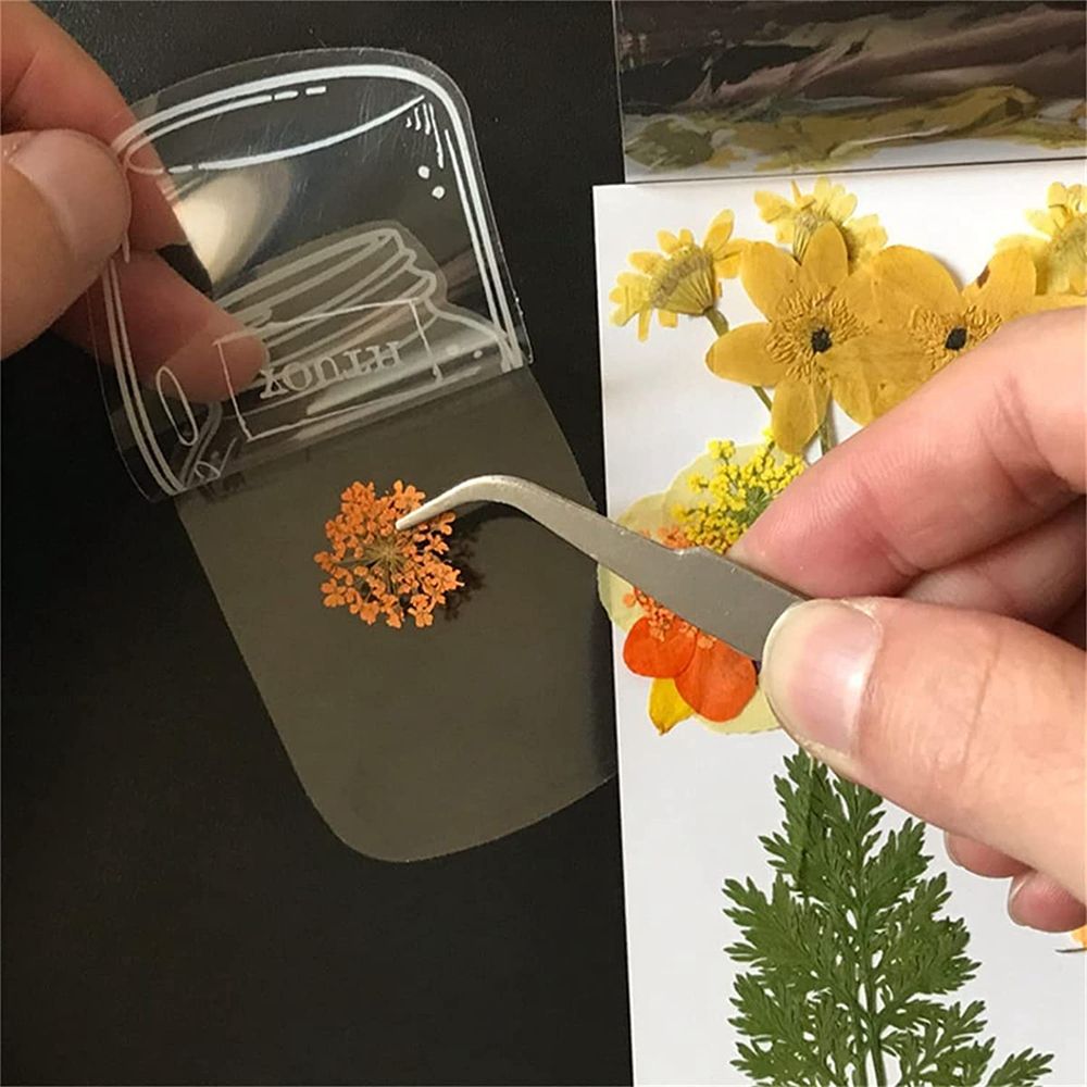 30Pcs Handmade DIY Transparent - Dried Flower Bookmark avis et prix