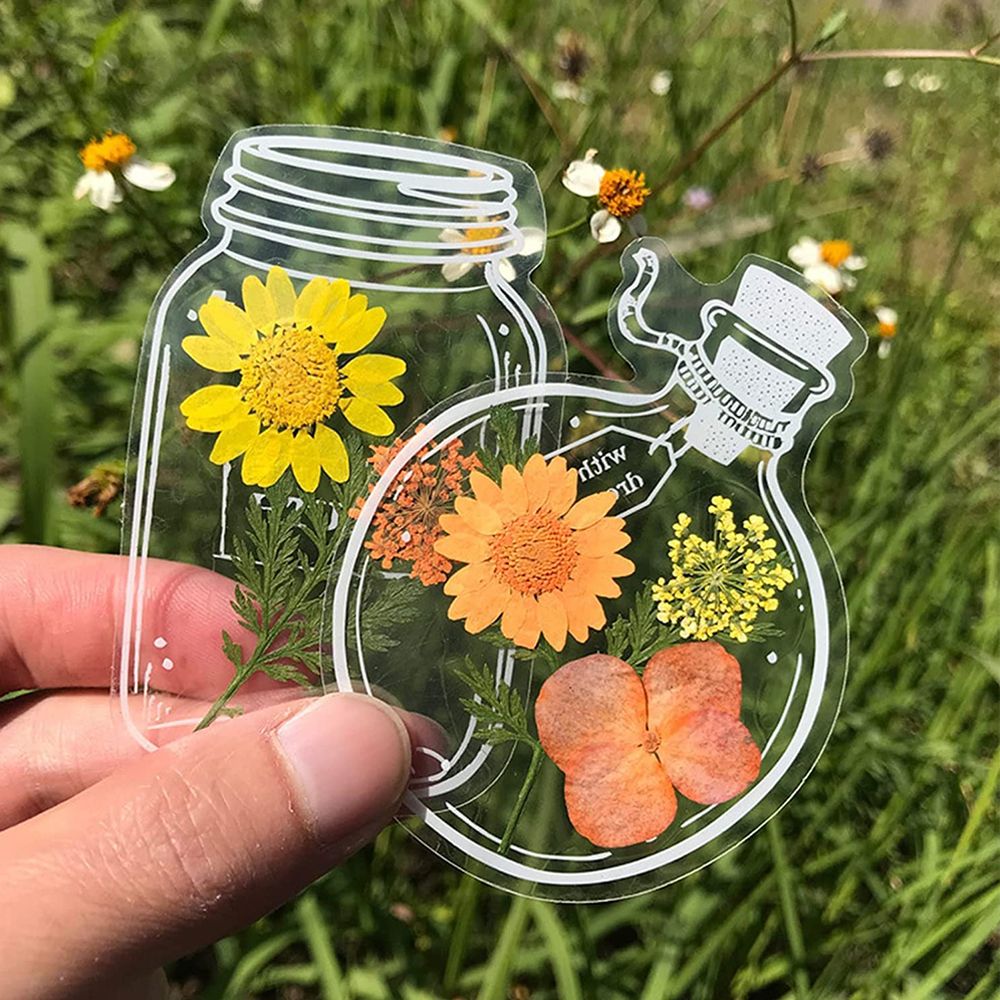 30Pcs Handmade DIY Transparent - Dried Flower Bookmark avis et prix