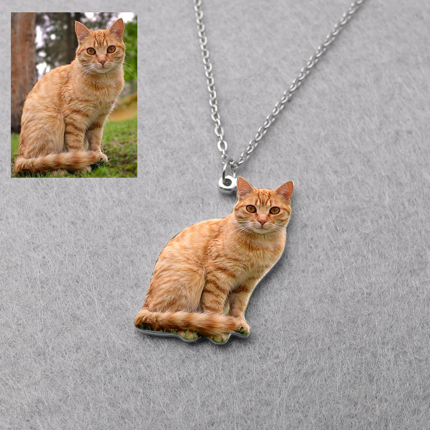 Personalized Pet Picture Neckl - Pet Portrait Custom avis et prix
