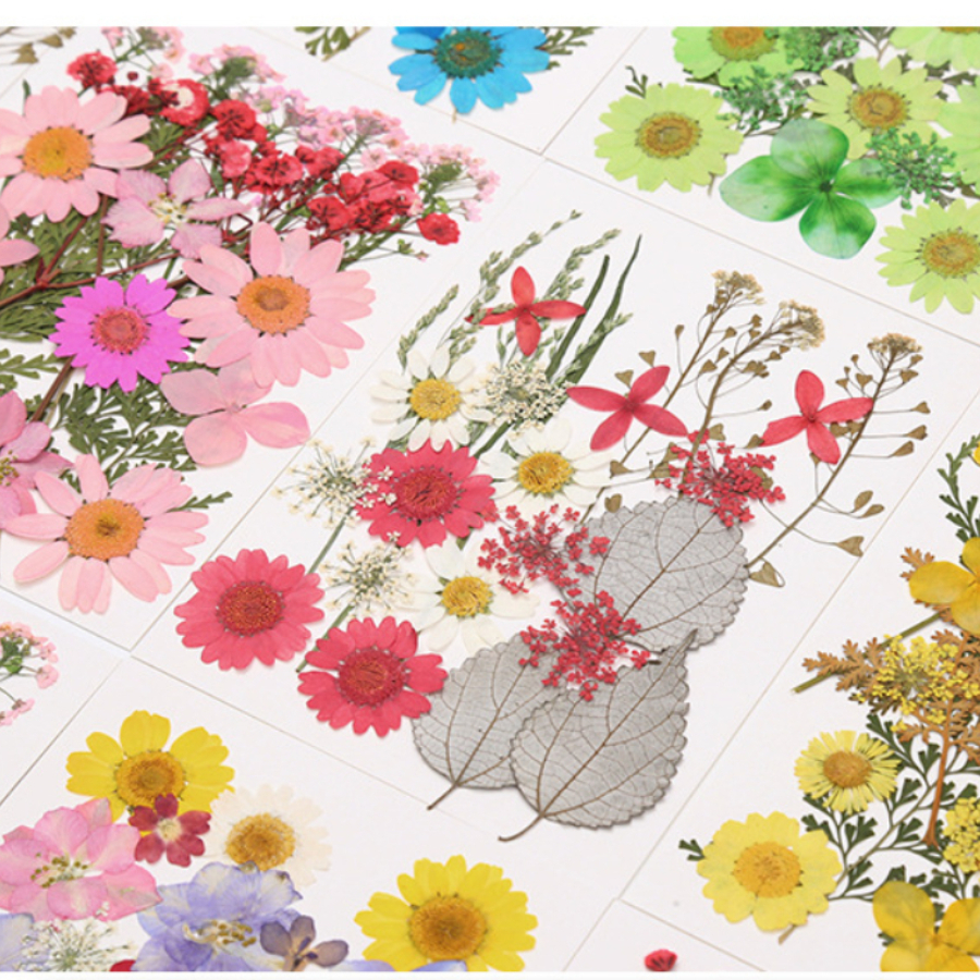 Un-dyed Natural Pressed Dried  - Dried Flower Bookmark avis et prix
