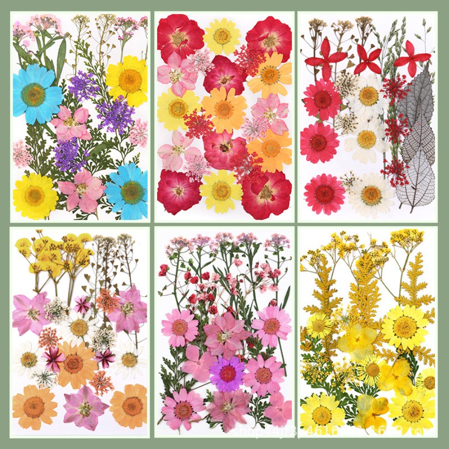 Un-dyed Natural Pressed Dried  - Dried Flower Bookmark avis et prix