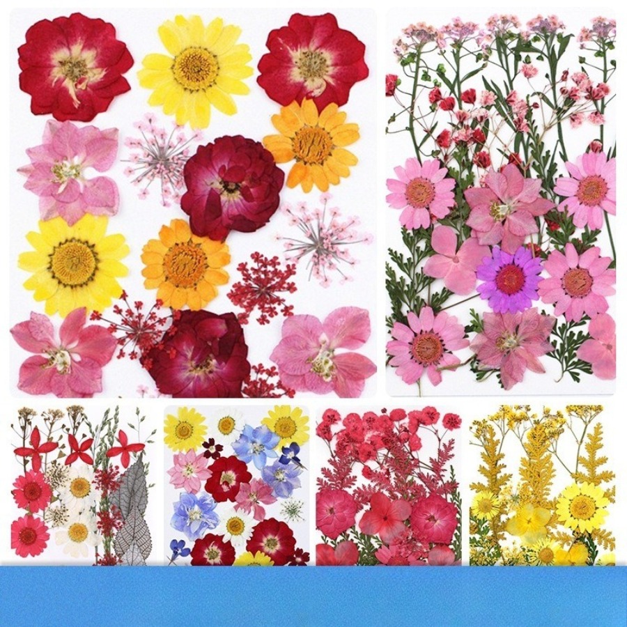 Un-dyed Natural Pressed Dried  - Dried Flower Bookmark avis et prix