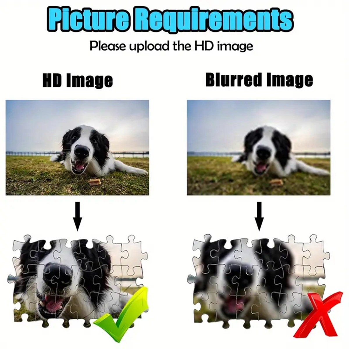 35/300/500/1000pcs Personalize - Pet Portrait Custom avis et prix