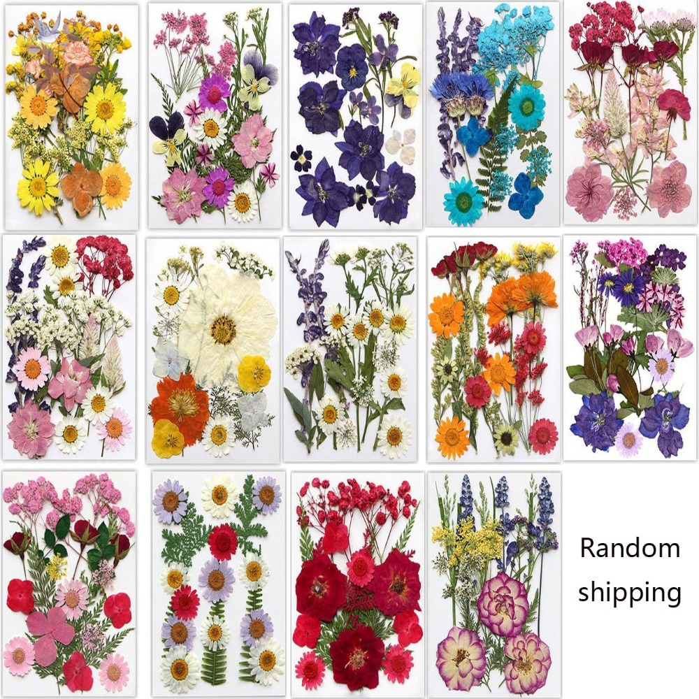 Handmade Pressed Dried Flowers - Dried Flower Bookmark avis et prix