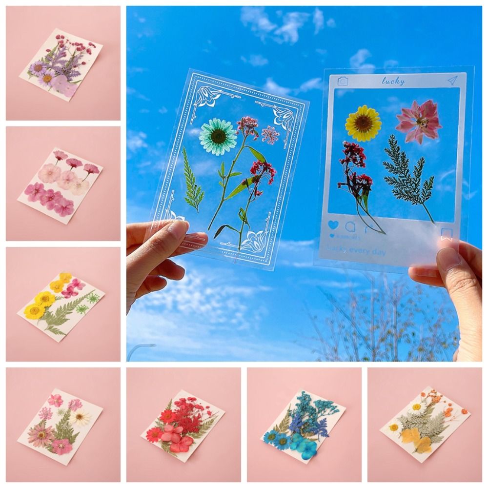 DIY Materials DIY Dried Flower - Dried Flower Bookmark avis et prix