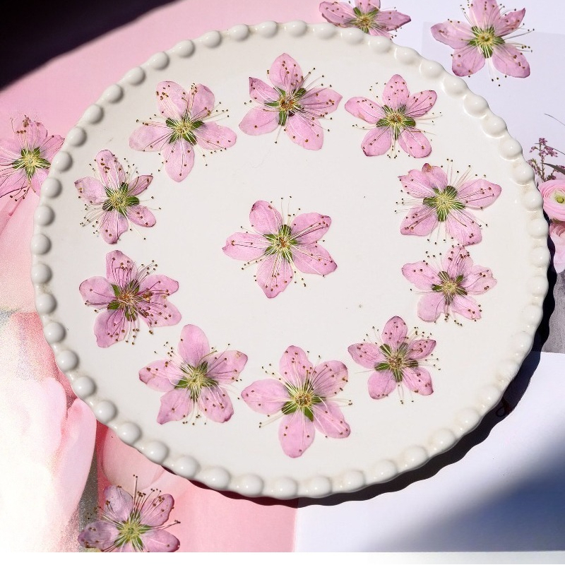 3-4cm./6pcs,Pink Peach Blossom - Dried Flower Bookmark avis et prix