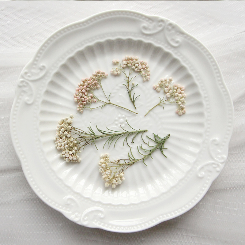 12pcs,Nature Millet flower bra - Dried Flower Bookmark avis et prix