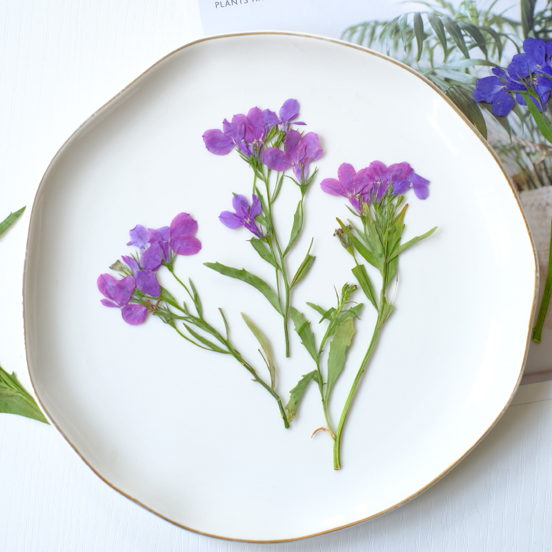 6pcs/8-13cm,nature Lobelia Eri - Dried Flower Bookmark avis et prix