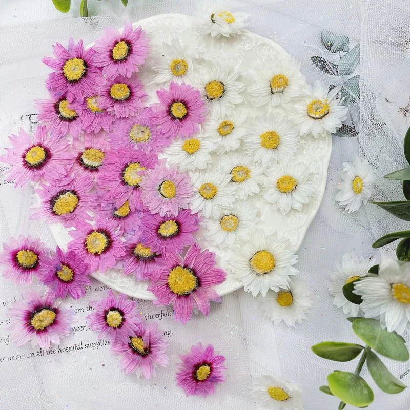 24pcs/2-4CM,Natural Pressed Fl - Dried Flower Bookmark avis et prix