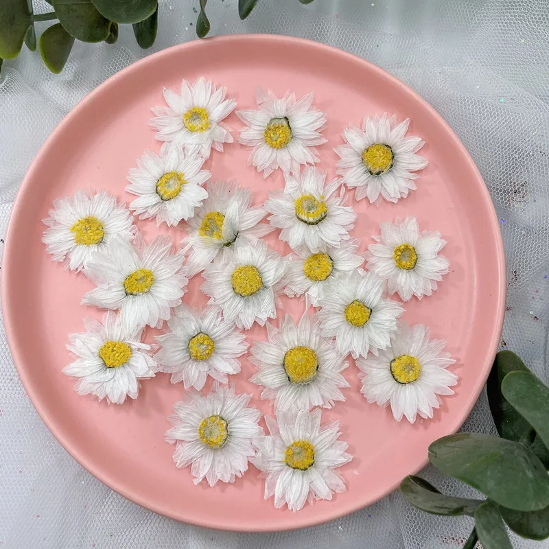 24pcs/2-4CM,Natural Pressed Fl - Dried Flower Bookmark avis et prix