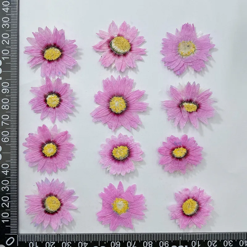 24pcs/2-4CM,Natural Pressed Fl - Dried Flower Bookmark avis et prix
