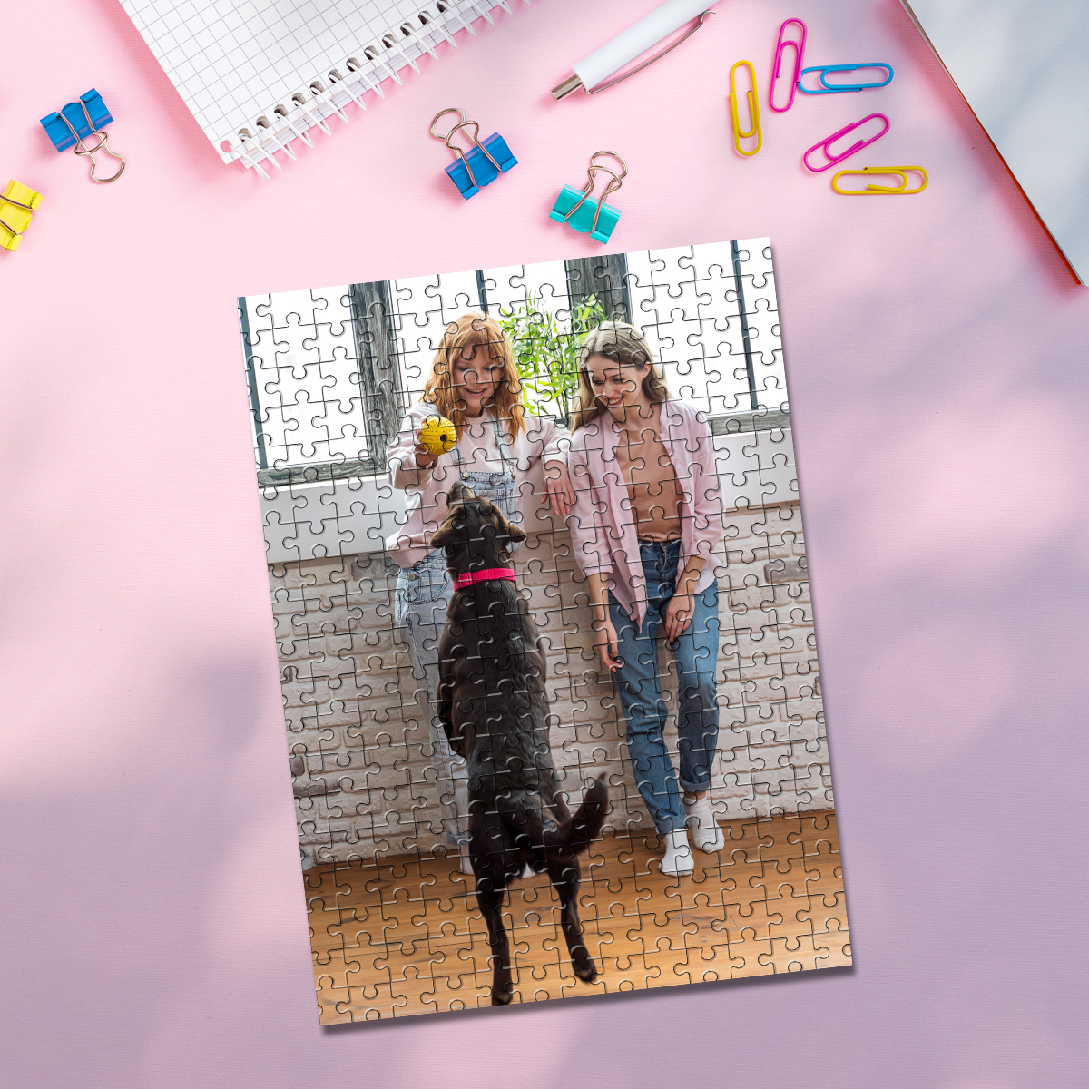35/150/300/500/1000pcs Persona - Pet Portrait Custom avis et prix
