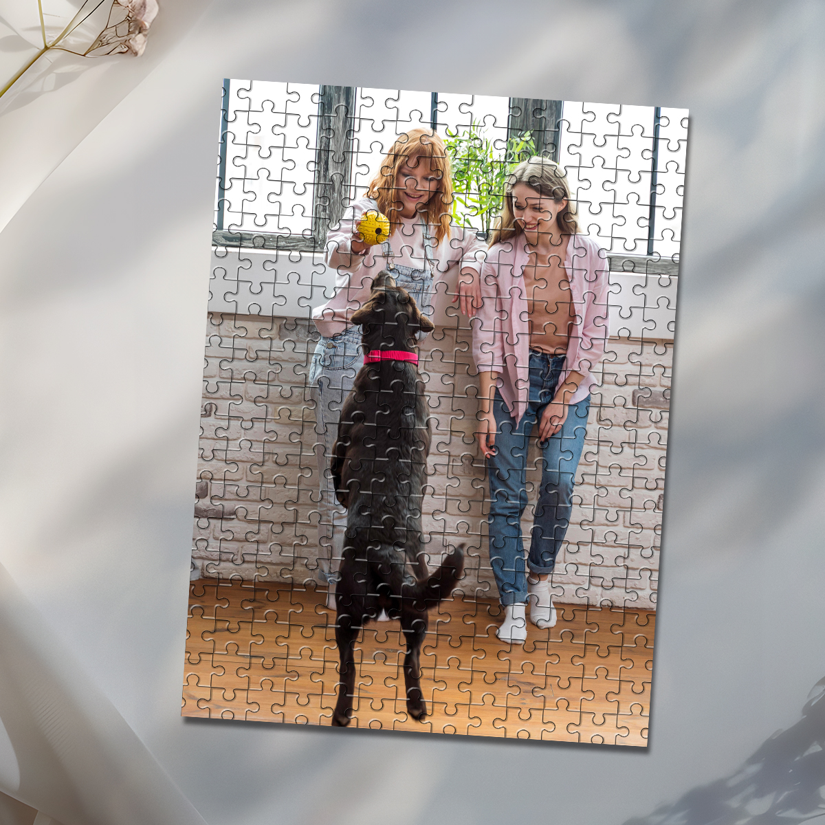 35/150/300/500/1000pcs Persona - Pet Portrait Custom avis et prix