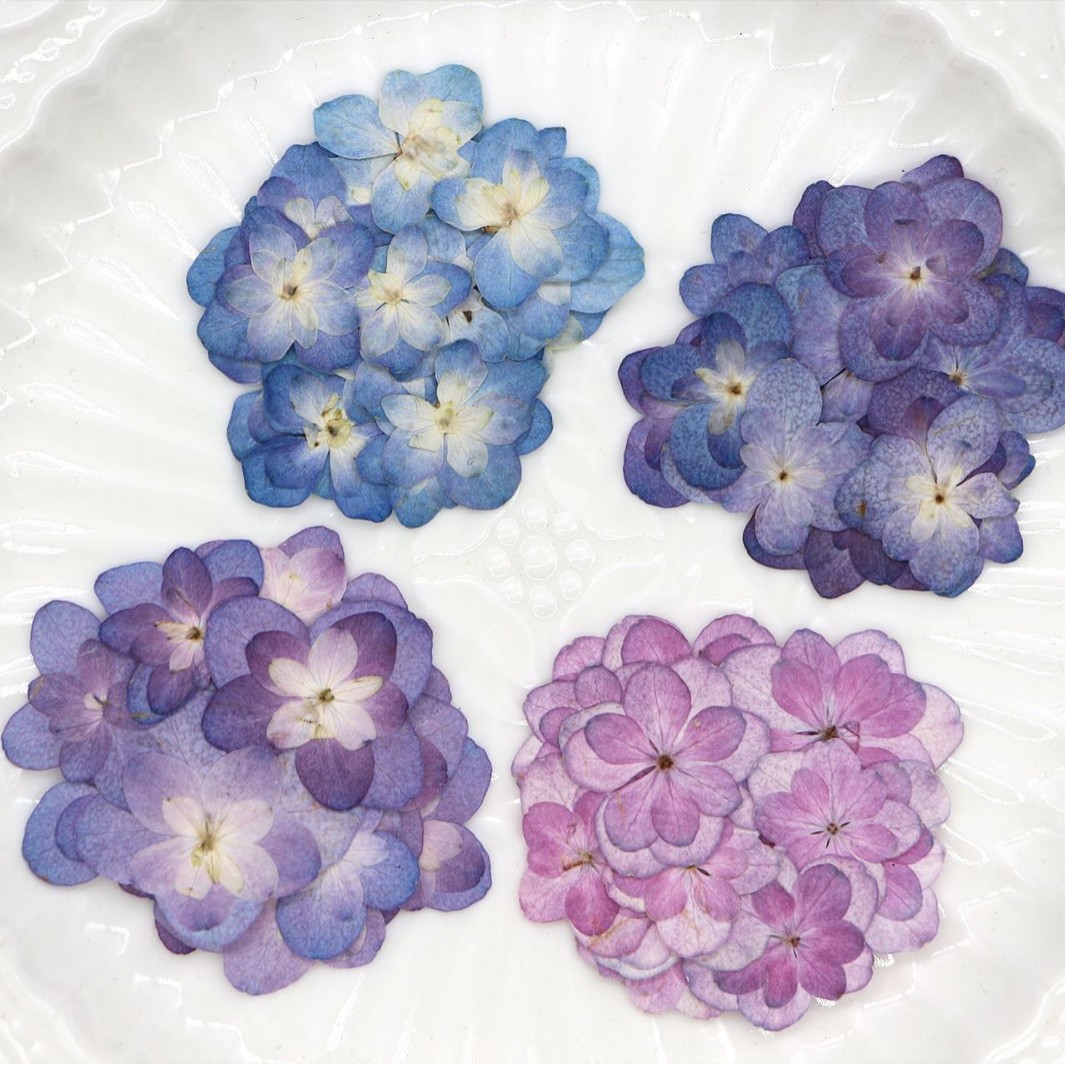 60Pcs Mini Double-Flowered Hyd - Dried Flower Bookmark avis et prix