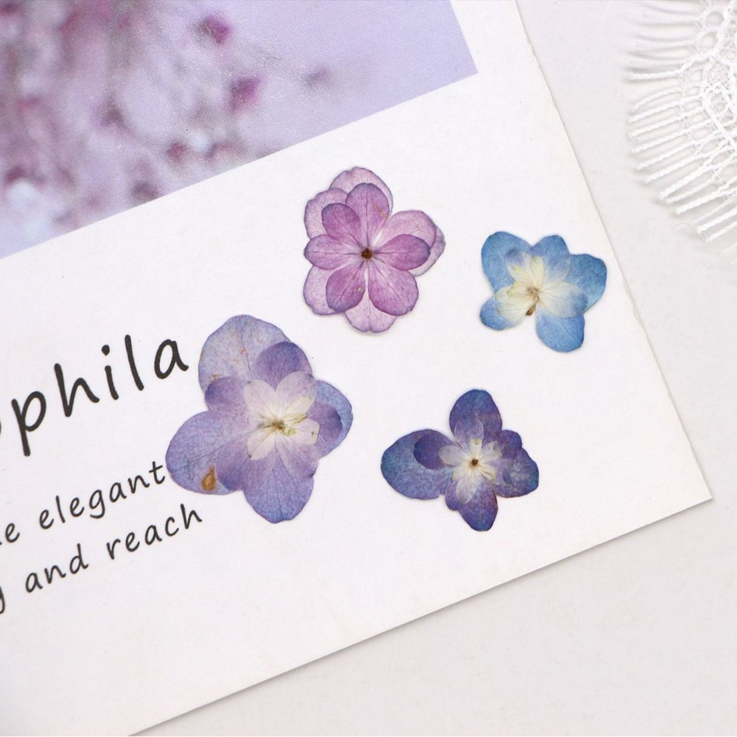 60Pcs Mini Double-Flowered Hyd - Dried Flower Bookmark avis et prix