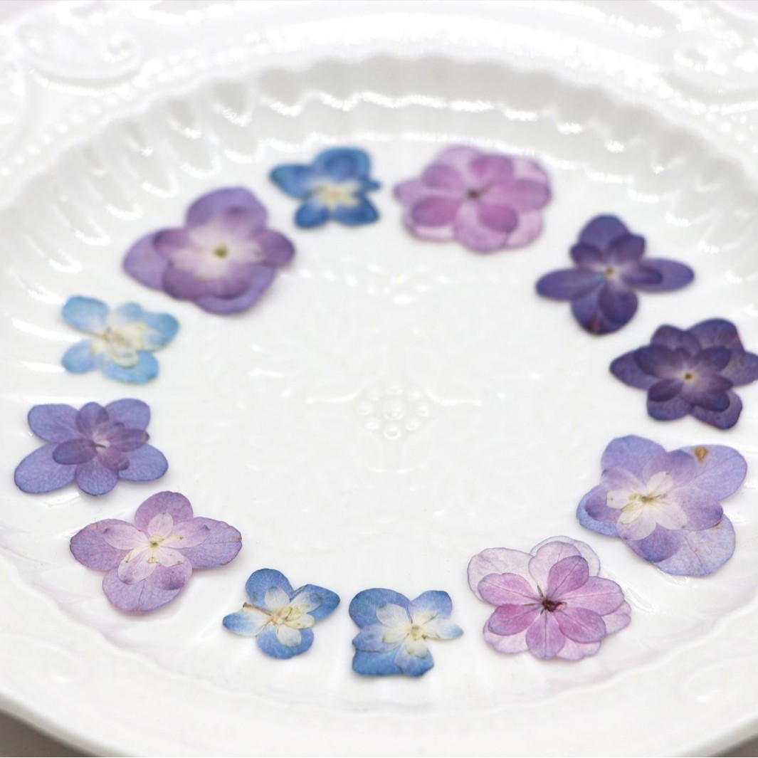 60Pcs Mini Double-Flowered Hyd - Dried Flower Bookmark avis et prix