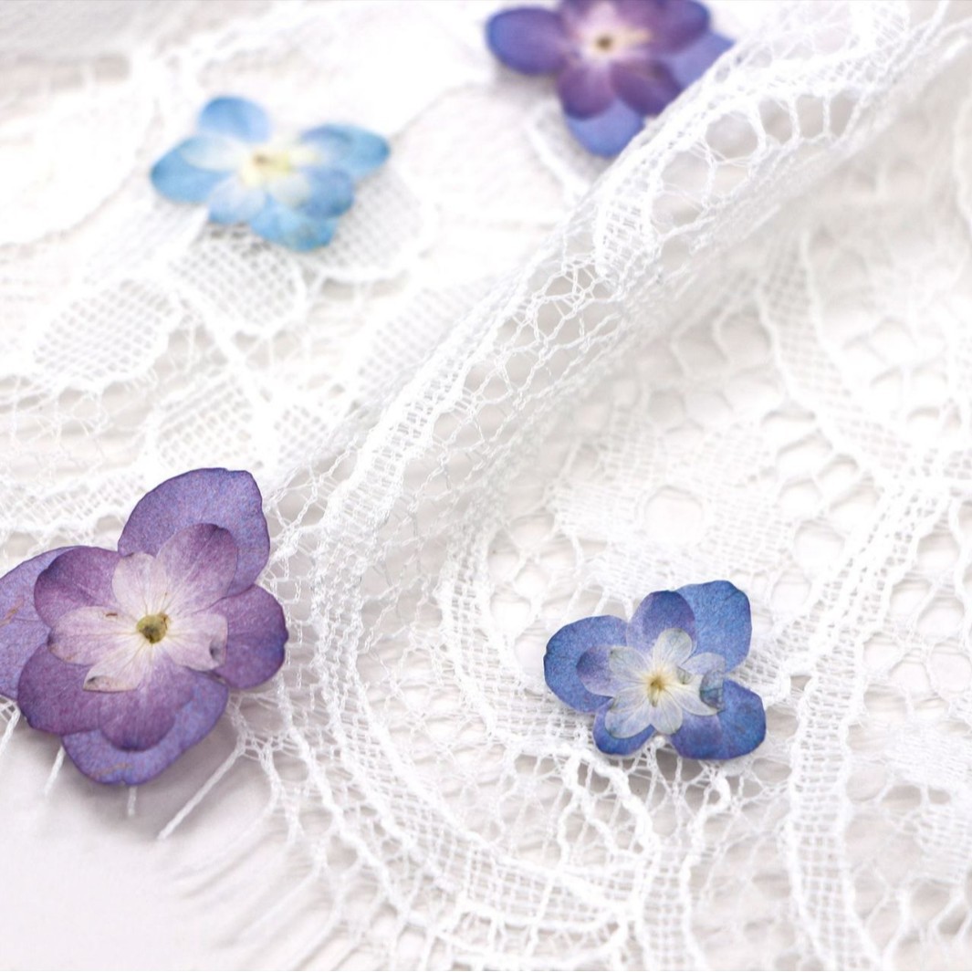60Pcs Mini Double-Flowered Hyd - Dried Flower Bookmark avis et prix