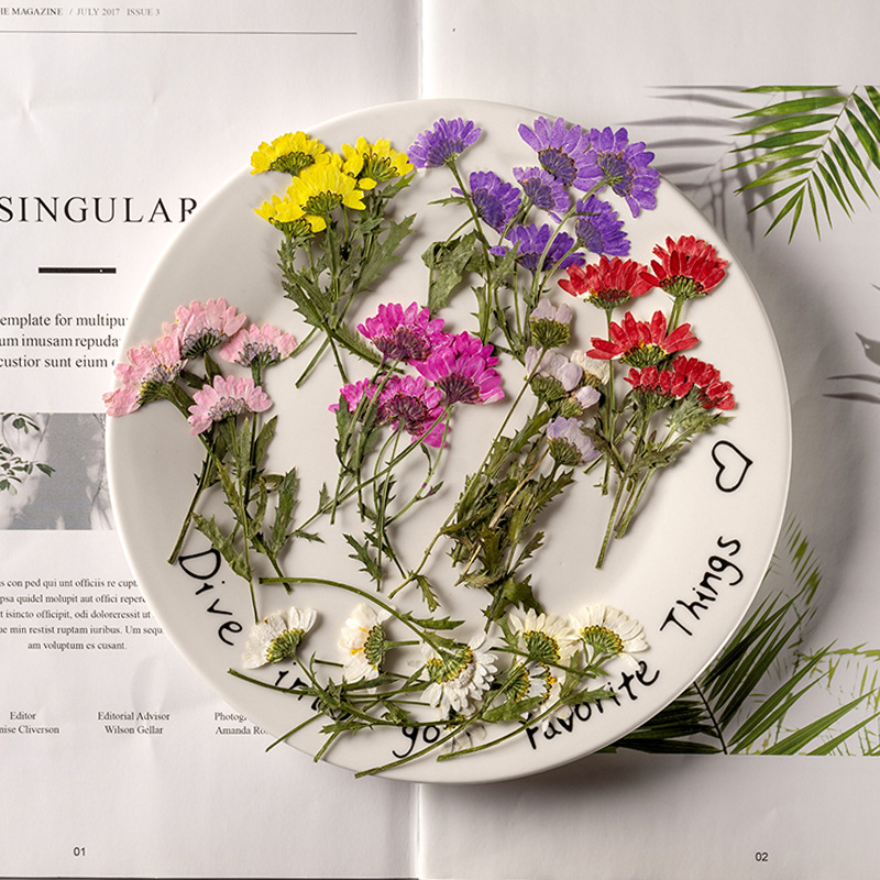 5-8cm/24pcs,Side pressed cryst - Dried Flower Bookmark avis et prix