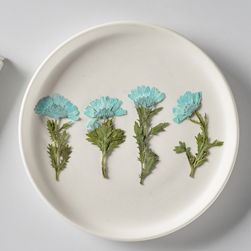 5-8cm/24pcs,Side pressed cryst - Dried Flower Bookmark avis et prix